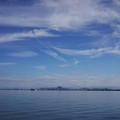 264-3.jpg