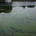 265-3.jpg