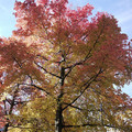 266-3.jpg