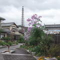 267-1.jpg