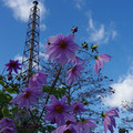 269-3.jpg