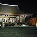 272-2.jpg