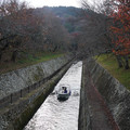 274-2.jpg