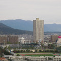 275-1.jpg