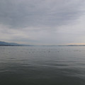275-3.jpg