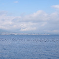 276-1.jpg