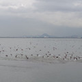 276-2.jpg