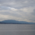 276-3.jpg