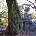 277-2.jpg