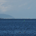 278-1.jpg
