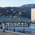 279-3.jpg