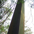 313-3.jpg