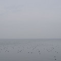 317-1.jpg