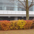 317-2.jpg