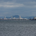 319-3.jpg