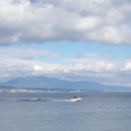 321-1.jpg