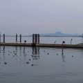 329-3.jpg