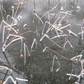 332-3.jpg