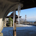 337-2.jpg