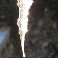 337-3.jpg