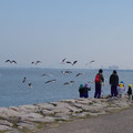 340-1.jpg