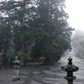 341-1.jpg