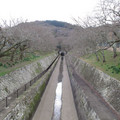 341-2.jpg