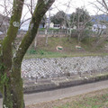 341-3.jpg