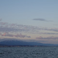 342-3.jpg