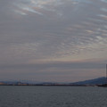 343-3.jpg