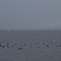 375-3.jpg