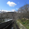 376-3.jpg