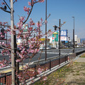 377-3.jpg