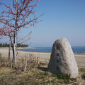 378-1.jpg