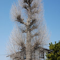 378-3.jpg