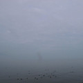 383-1.jpg