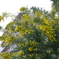 385-1.jpg