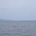 386-1.jpg