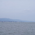 386-2.jpg