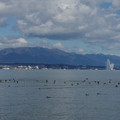 388-1.jpg