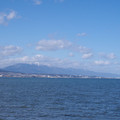 391-1.jpg