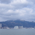 391-2.jpg