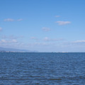391-3.jpg