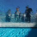 392-3.jpg