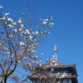 398-1.jpg