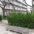 405-3.jpg