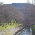 406-3.jpg
