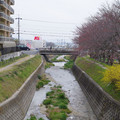 407-1.jpg