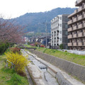 407-3.jpg