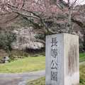 408-1.jpg